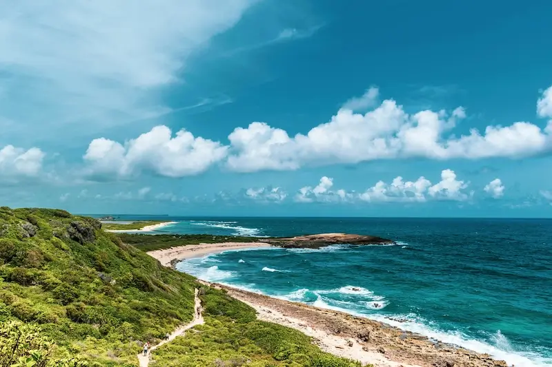 Surfing in Guadeloupe, French West Indies