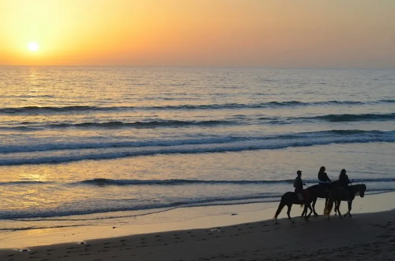 A comprehensive guide to surfing in Tamraght